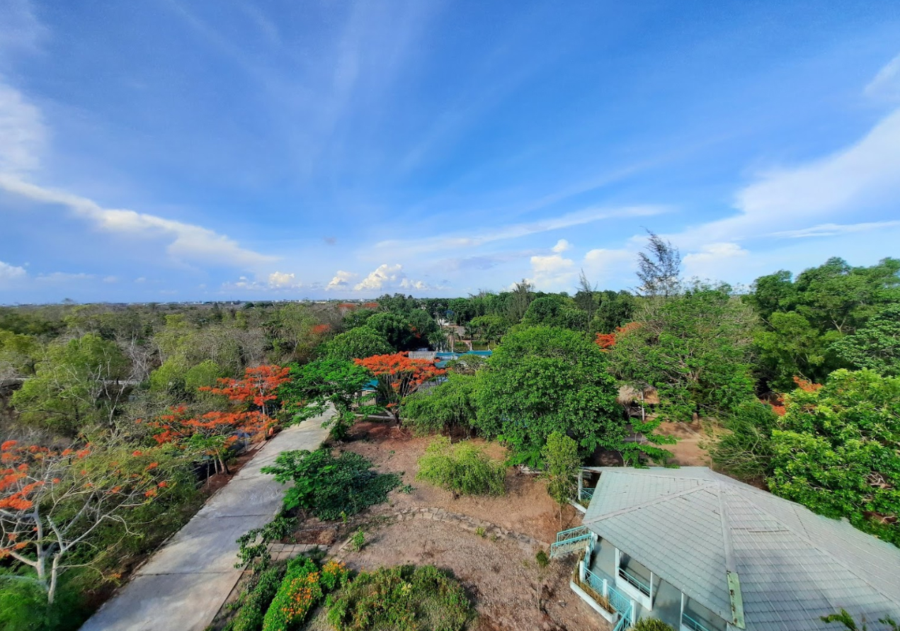 Một góc của vườn Chim Bạc Liêu nhìn từ đài quan sát